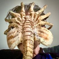 Peter Vroegop 💎 (@petervroegop) 's Twitter Profile Photo