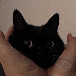 stayhere_int's profile picture. 연공계