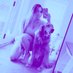 Kayce884 (@olive2663) Twitter profile photo Kayce884 (@olive2663) Twitter profile photo