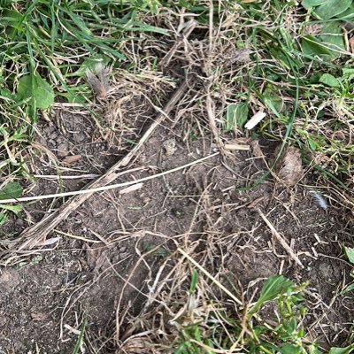 jverrier130's profile picture. No such thing as a problem.... that is unless I’m last to know about it.