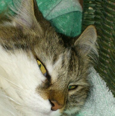 archibald0735 Profile Picture