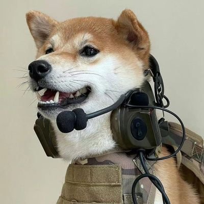 qicc080215's profile picture. 