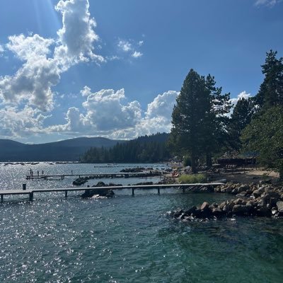 sanchezbickley's profile picture. Thoughts are my own.