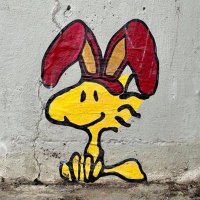 Vera Lacina (@veralacina) 's Twitter Profile Photo Vera Lacina (@veralacina) 's Twitter Profile Photo