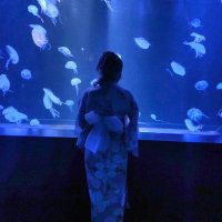 あやね (@100__________i) Twitter profile photo