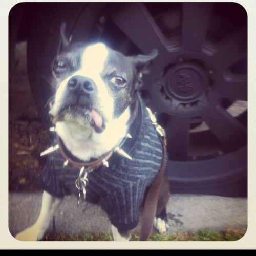 C_Hodge82's profile picture. 