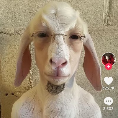 mashy21's profile picture. he/him poc I love women 18