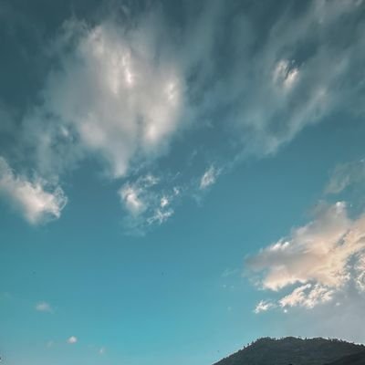 pk694449's profile picture. 