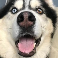 Rex Alexander (@rexmd13) 's Twitter Profile