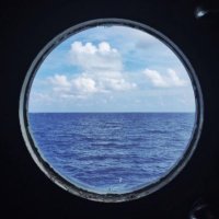 Nevreste Kara (@nevrestekara) 's Twitter Profile