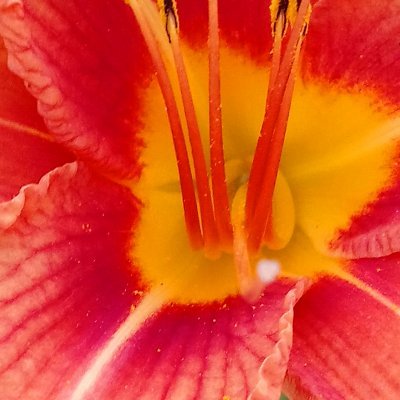 keepcool70kp's profile picture. https://t.co/P0p8ZKlTYN
https://t.co/RGGiu65VcM
Keep your positivity time is devoted