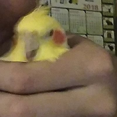 WCOlOmBoO's profile picture. 