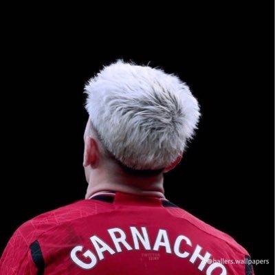 HarleyDGames_YT's profile picture. just a United fan with a agenda