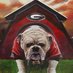 ColumbusDawg (@dawgsrelite) Twitter profile photo ColumbusDawg (@dawgsrelite) Twitter profile photo