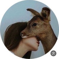 غزالة الوادي 🦒 ✈️. 🩶 (@raw_a_n) 's Twitter Profile