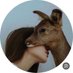 غزالة الوادي 🦒 ✈️. 🩶 (@raw_a_n) Twitter profile photo غزالة الوادي 🦒 ✈️. 🩶 (@raw_a_n) Twitter profile photo