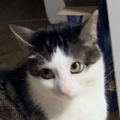 edaurnn's profile picture. 