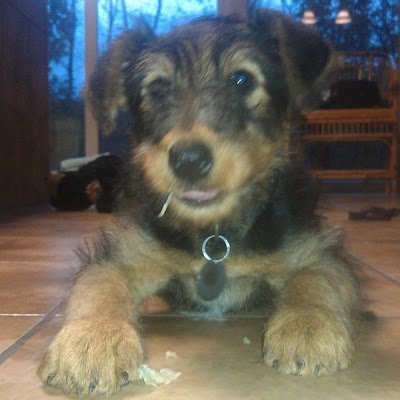 MADLPC1491's profile picture. 