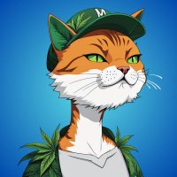 cat-in-a-blender (@nftnodog) 's Twitter Profile