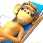 sunmonkeycap's profile picture. Beach / Banana / Memes / Crypto