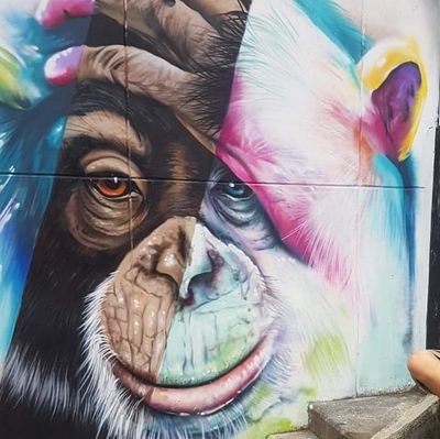 valtuco's profile picture. 