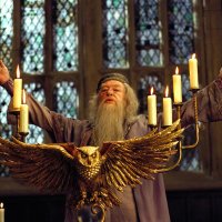 𝐀𝐥𝐛𝐮𝐬 𝐃𝐮𝐦𝐛𝐥𝐞𝐝𝐨𝐫𝐞 (@dumbledore_rol) 's Twitter Profile