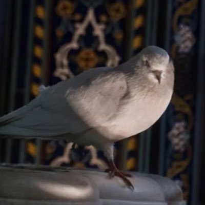 ياربّ وإن ضاق الحال, فأنت النُّور وأنت المُتسع 🤲🏻