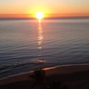 Kathleen Schuler - @kathyschuler - Twitter