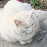 Julia-valga (@juliavalga) 's Twitter Profile