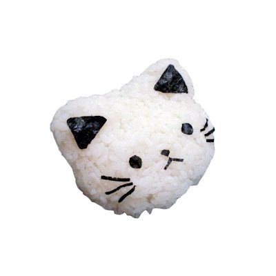 malashdatas's profile picture. IM HUNGRY GIMME YOUR DATA