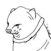 UM (@siksa3154) 's Twitter Profile Photo