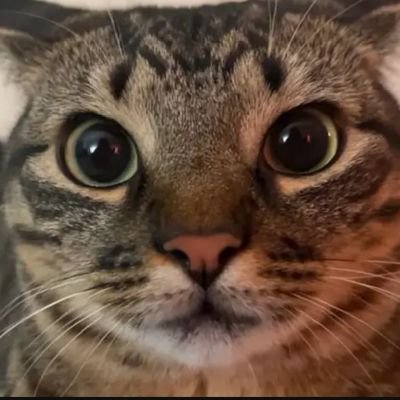 nokekeu56683's profile picture. 20