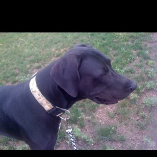 Jb_223's profile picture. 