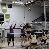 Maddie Rees (@reesmaddie17) 's Twitter Profile