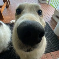 James (@jamesguyy) 's Twitter Profile