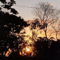 Mirani (@miranineves) 's Twitter Profile