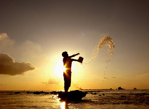 meme5273's profile picture. 