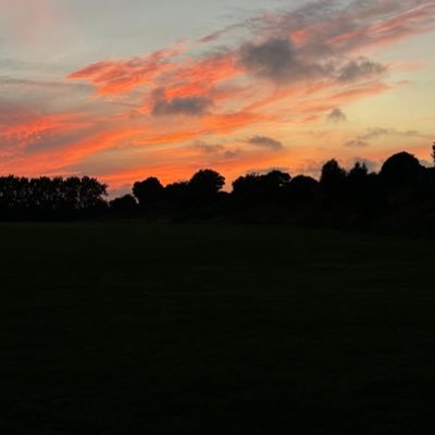 bibttm024's profile picture. 19 | Bi | Bottom | DL | Gym & Running | Customs message Subscribe