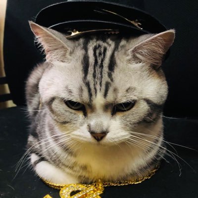 Hinkel_Keter's profile picture. 🇨🇳英语很烂，平时用翻译器  在吃上大洋彼岸🇺🇸最新鲜的乐子之前我不会撤的