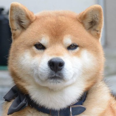probably a btc no? eth perhaps
https://t.co/Ys2bCfq0y1