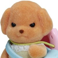 윻갈 (@ys_is_real) 's Twitter Profile Photo