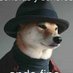 Mr Doge (@dogemorningstar) Twitter profile photo Mr Doge (@dogemorningstar) Twitter profile photo