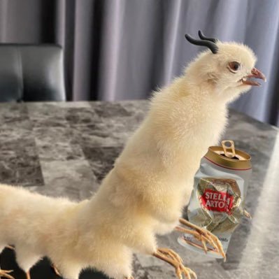 the drunkest chicken centipede - https://t.co/r1a10wccEg ca: 457PbiajA8Tsh7FqS2Y68ncdXcGobkeLT7GP4mYQpump