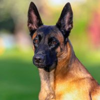 Bugsbunny2062 (@bugsbunny2062) 's Twitter Profile Photo Bugsbunny2062 (@bugsbunny2062) 's Twitter Profile Photo