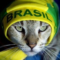 Gata do Brazil (@lelia_camargo) 's Twitter Profile