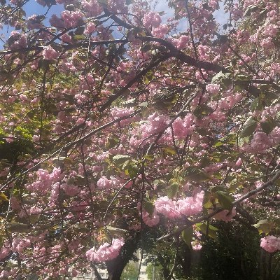 akym11270322's profile picture. 
