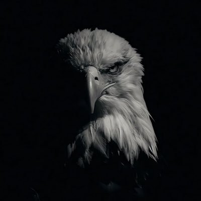 rafae_r_r's profile picture. 