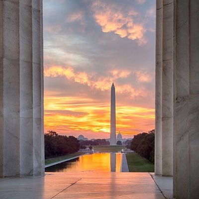 MitriRizk's profile picture. 