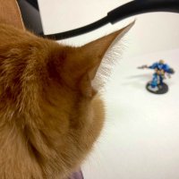 hal425wx9🐼🍭Warhammer垢 (@hal425wx9) 's Twitter Profile Photo hal425wx9🐼🍭Warhammer垢 (@hal425wx9) 's Twitter Profile Photo