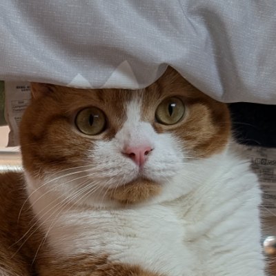 時事全般・政治・モバイル通信についての投稿となります。
お仕事お待ちしております。
smartphone : galaxy Z fold7
tablet:galaxy S10 FE
mobile router : NEC MR51FN
mobile router : FUJI FS050W